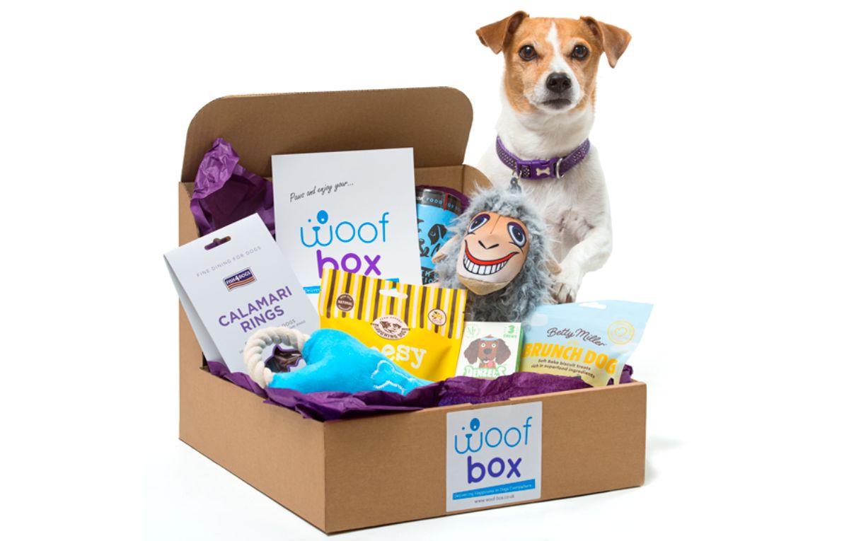 Dog subscription hot sale box $10